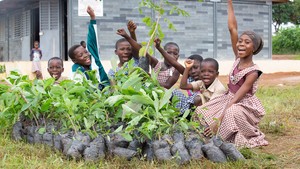 Children planting trees