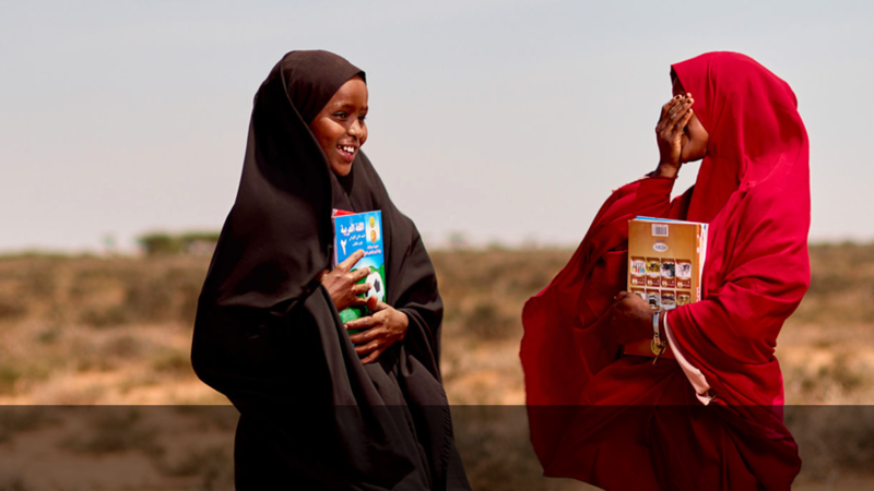 Cover of Plan International Australia's Report